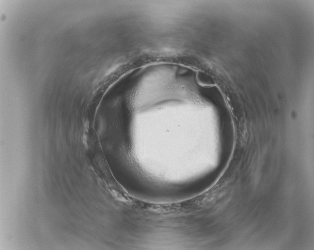 X0000059241301200510281920