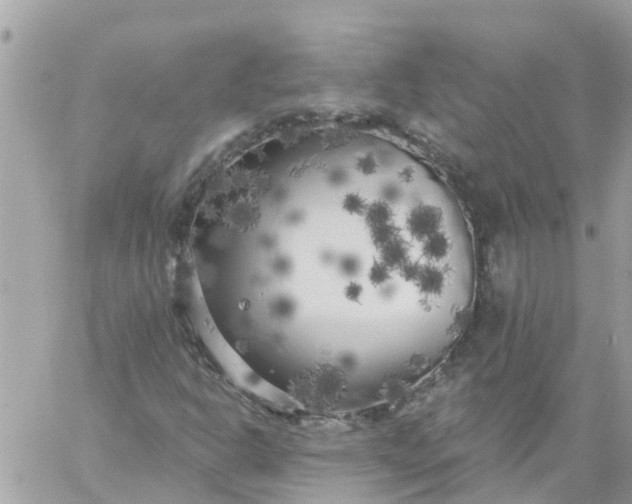 X0000059241302200510281920