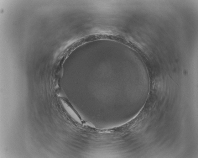 X0000059241303200510281920