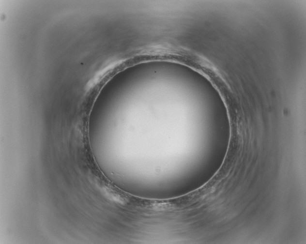 X0000059241304200510281920