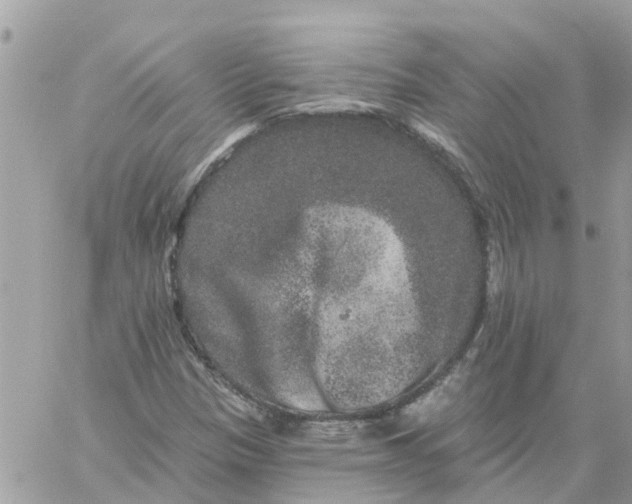 X0000059241305200510281920