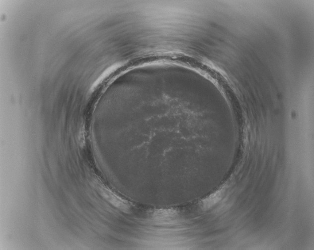 X0000059241306200510281920