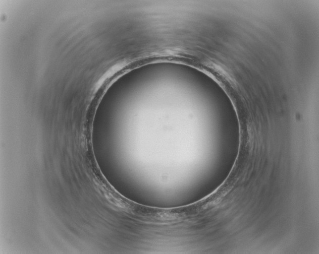 X0000059241308200510281920