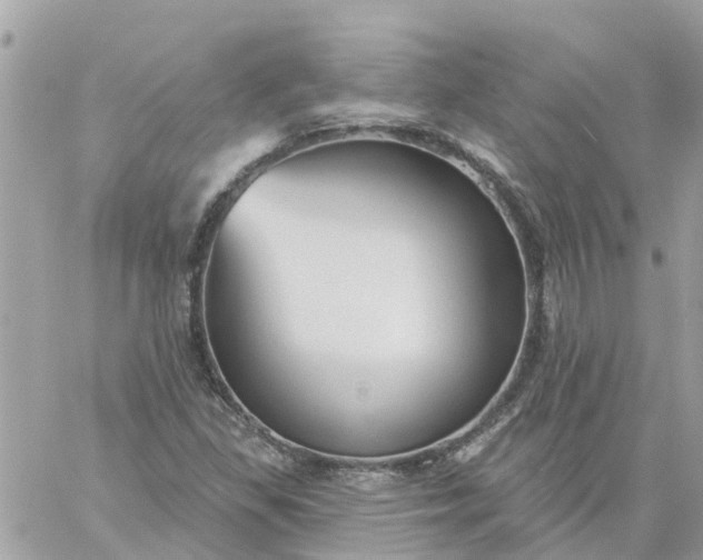 X0000059241309200510281920