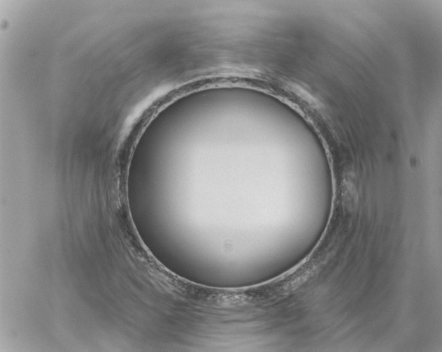 X0000059241310200510281920