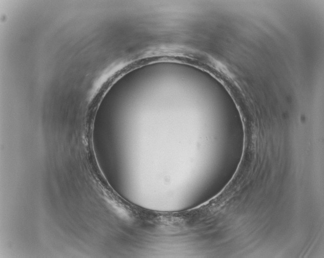 X0000059241312200510281920