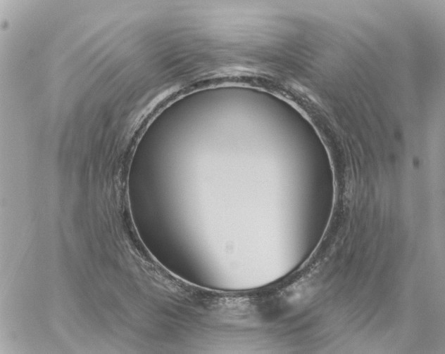 X0000059241313200510281920