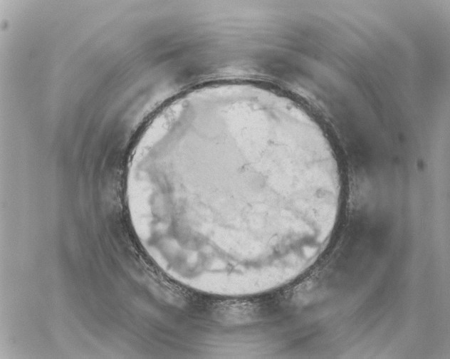 X0000059241314200510281920