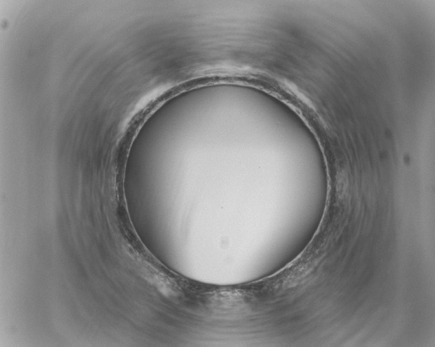 X0000059241315200510281921