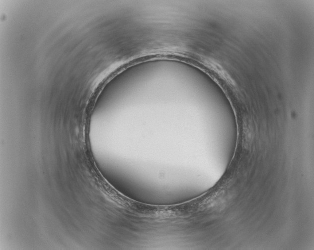 X0000059241316200510281921