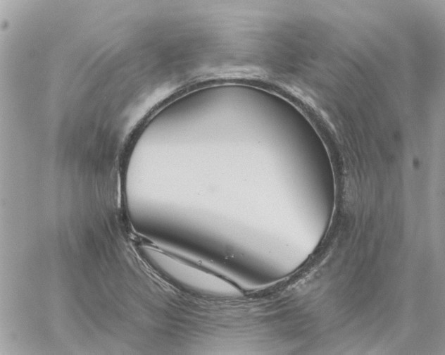 X0000059241317200510281921