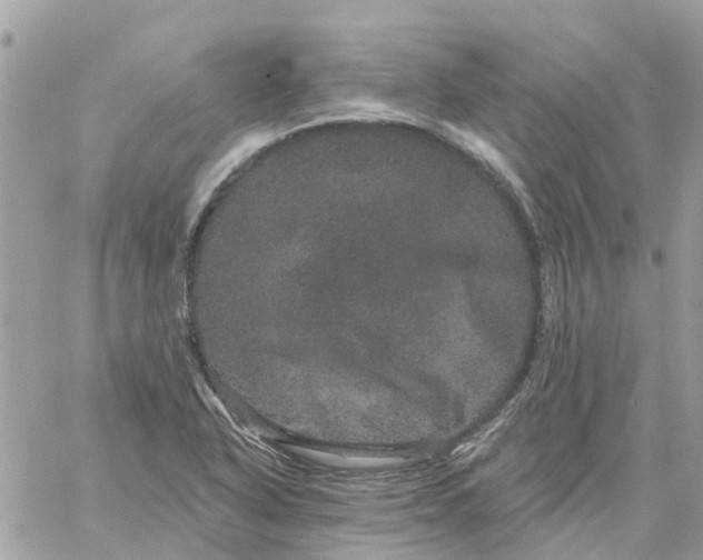 X0000059241318200510281921