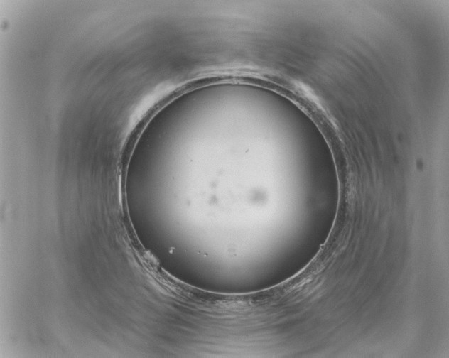 X0000059241320200510281921