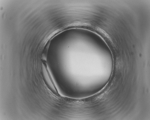 X0000059241321200510281921