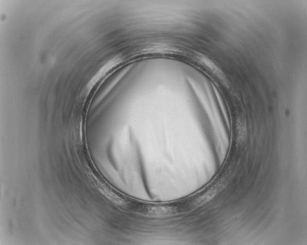 X0000059241322200510281921