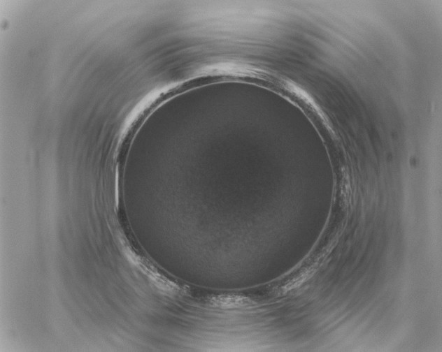 X0000059241323200510281921