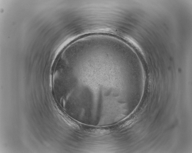 X0000059241324200510281921