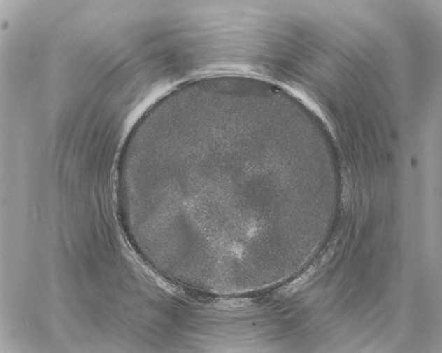 X0000059241325200510281921