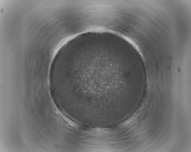 X0000059241327200510281921