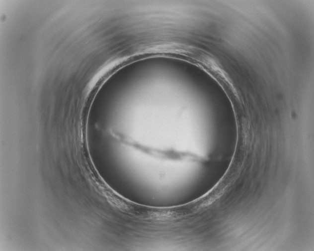 X0000059241328200510281921