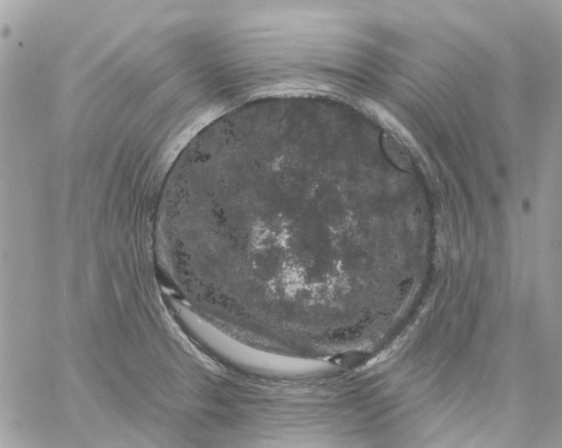 X0000059241329200510281921