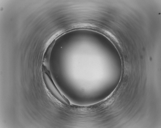 X0000059241330200510281921