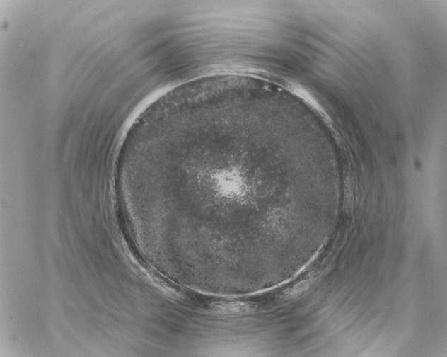 X0000059241331200510281921