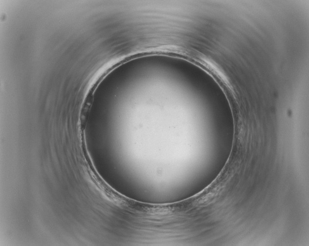 X0000059241332200510281921