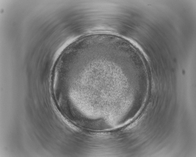 X0000059241333200510281921