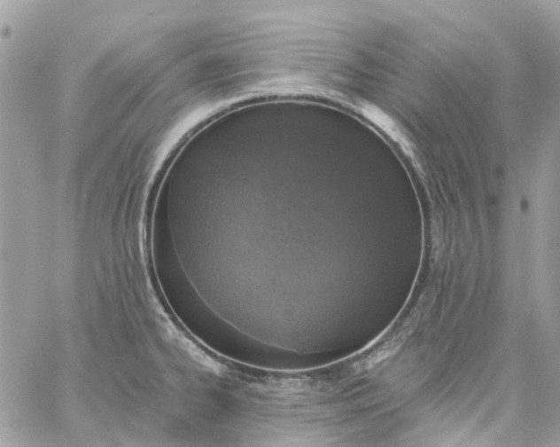 X0000059241334200510281921