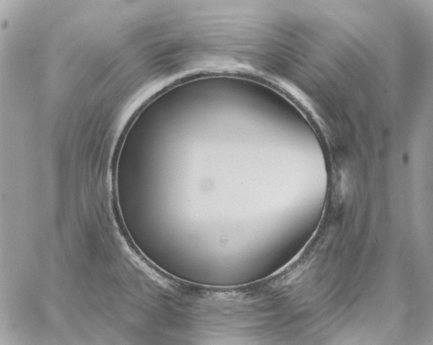 X0000059241335200510281921