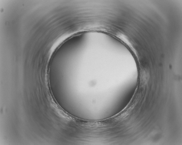 X0000059241336200510281921