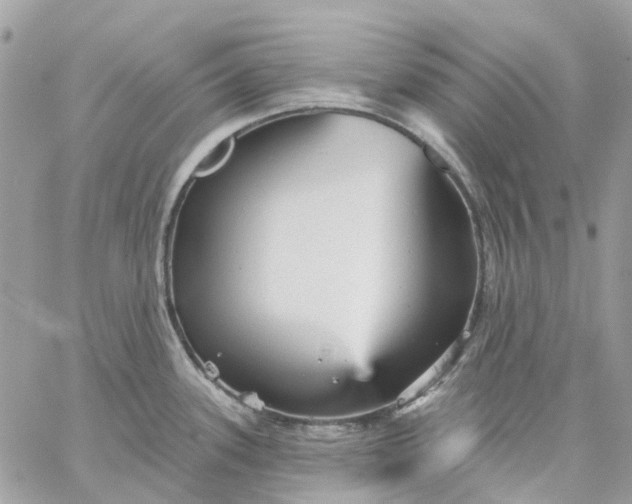 X0000059241339200510281921