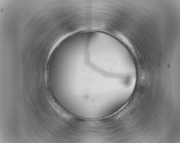 X0000059241340200510281921