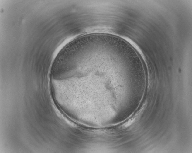 X0000059241341200510281921