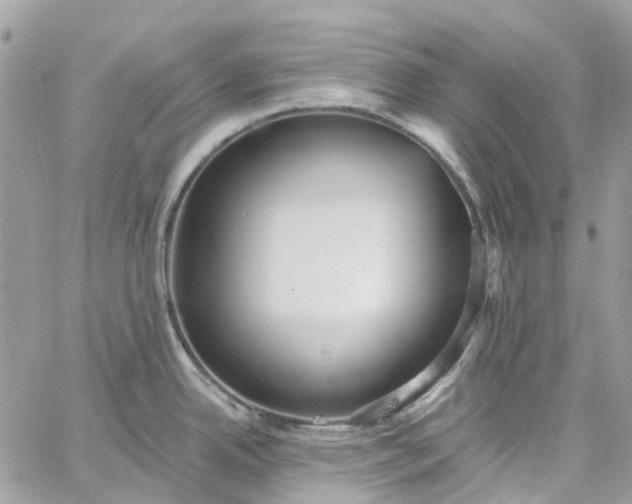 X0000059241342200510281921