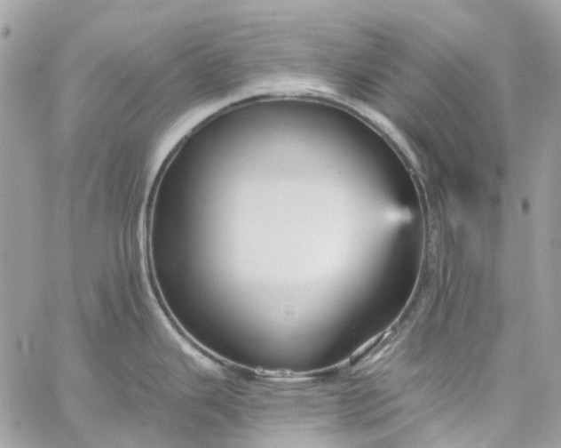 X0000059241343200510281921