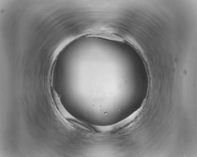 X0000059241344200510281921