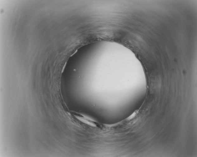 X0000059241345200510281920