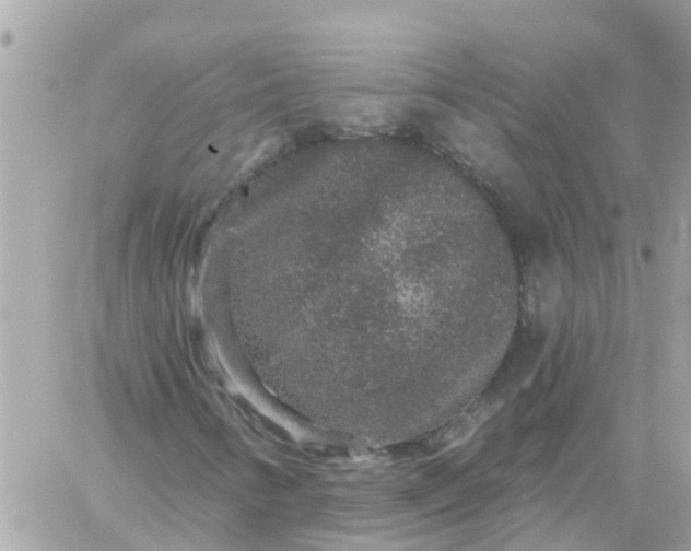 X0000059241346200510281920