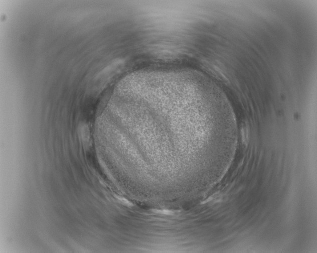 X0000059241347200510281920