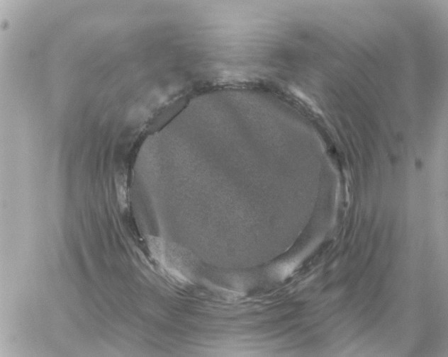 X0000059241348200510281920