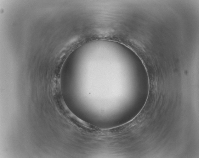 X0000059241349200510281920