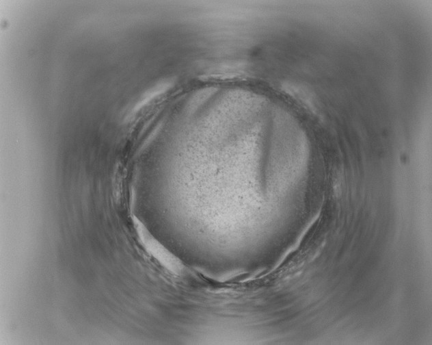 X0000059241350200510281920