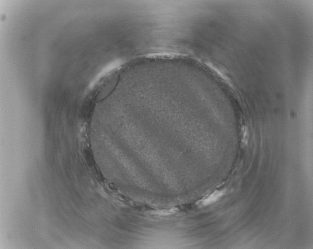 X0000059241351200510281920