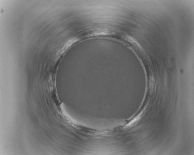 X0000059241353200510281920