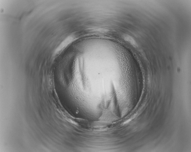 X0000059241354200510281920