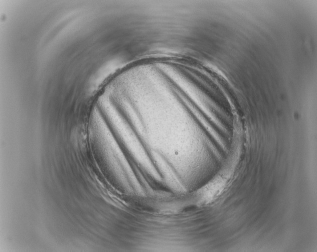 X0000059241355200510281920