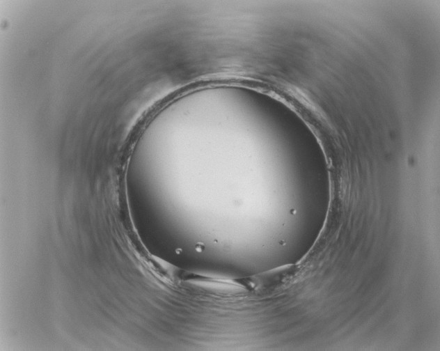 X0000059241356200510281920