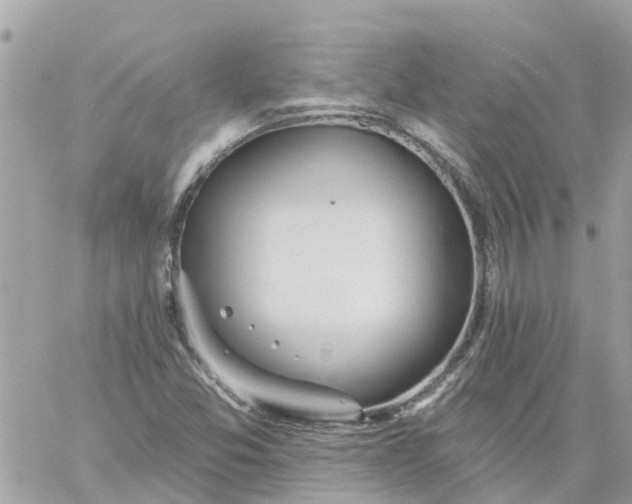 X0000059241357200510281920